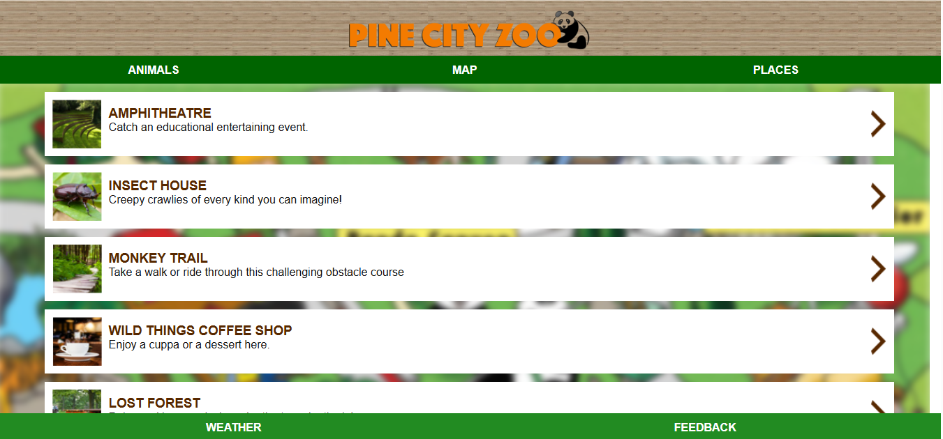 Screenshot of Website 2