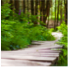 MONKEY TRAIL Thumbnail